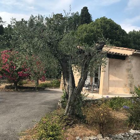 Villa Du Sud Ванс Екстериор снимка