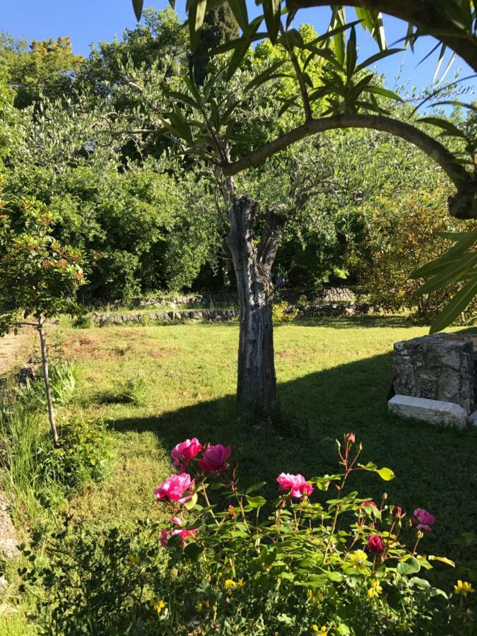Villa Du Sud Ванс Екстериор снимка